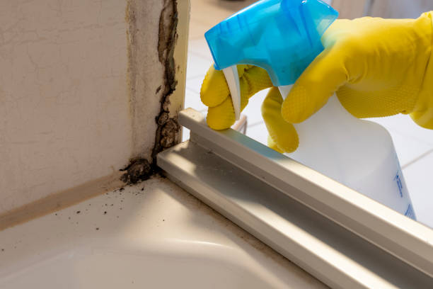 Best Mold Removal and Inspection  in Sumrall, MS