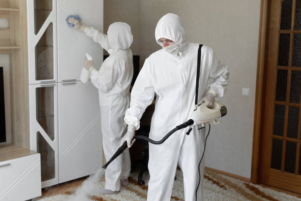Best Attic Mold Removal  in Sumrall, MS